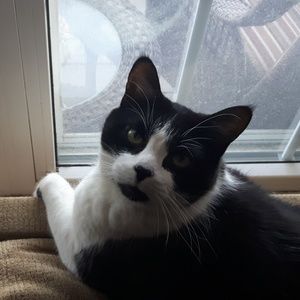 Meet your Posher, Teresa